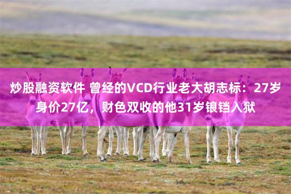 炒股融资软件 曾经的VCD行业老大胡志标：27岁身价27亿，财色双收的他31岁锒铛入狱