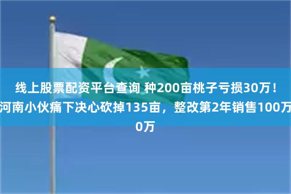 线上股票配资平台查询 种200亩桃子亏损30万！河南小伙痛下决心砍掉135亩，整改第2年销售100万