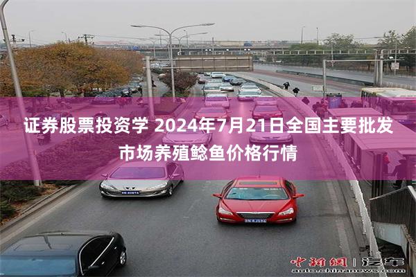 证券股票投资学 2024年7月21日全国主要批发市场养殖鲶鱼价格行情