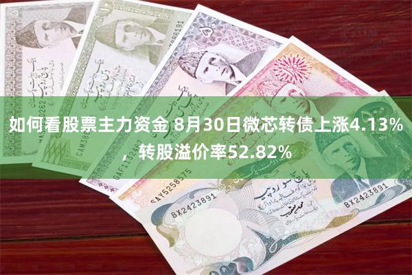 如何看股票主力资金 8月30日微芯转债上涨4.13%，转股溢价率52.82%