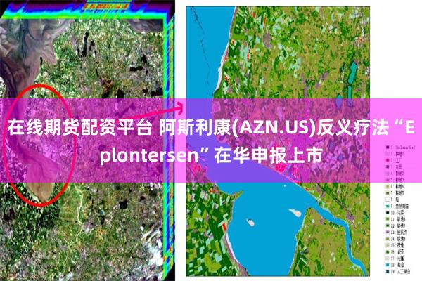 在线期货配资平台 阿斯利康(AZN.US)反义疗法“Eplontersen”在华申报上市