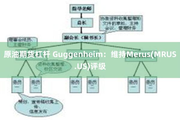 原油期货杠杆 Guggenheim：维持Merus(MRUS.US)评级