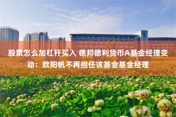 股票怎么加杠杆买入 德邦德利货币A基金经理变动：欧阳帆不再担任该基金基金经理