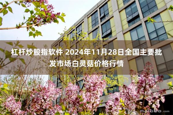 杠杆炒股指软件 2024年11月28日全国主要批发市场白灵菇价格行情