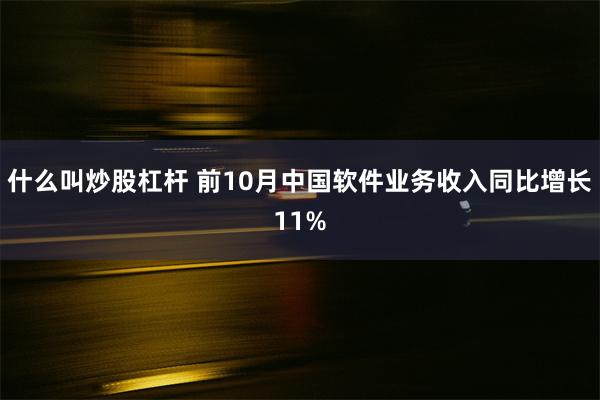 什么叫炒股杠杆 前10月中国软件业务收入同比增长11%