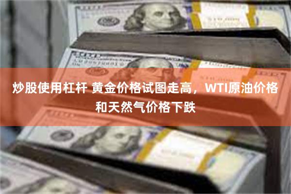 炒股使用杠杆 黄金价格试图走高，WTI原油价格和天然气价格下跌