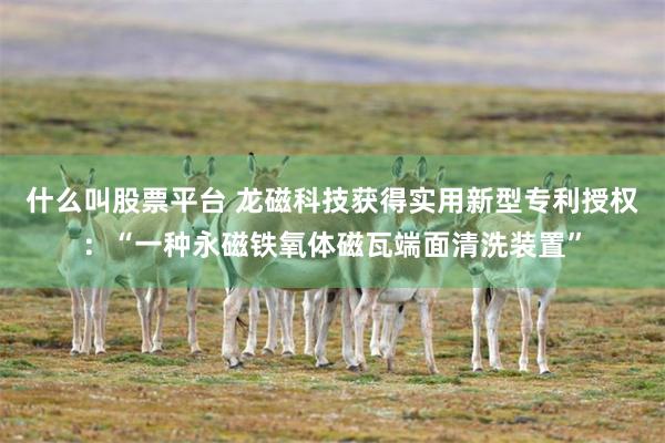 什么叫股票平台 龙磁科技获得实用新型专利授权：“一种永磁铁氧体磁瓦端面清洗装置”