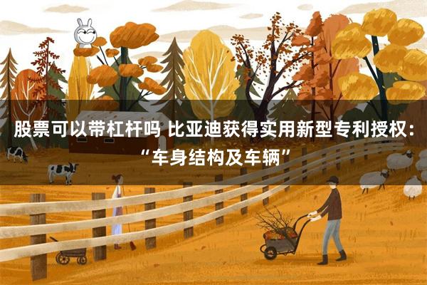 股票可以带杠杆吗 比亚迪获得实用新型专利授权：“车身结构及车辆”