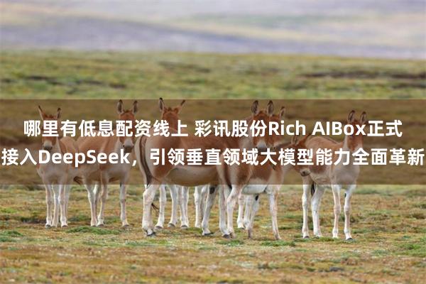 哪里有低息配资线上 彩讯股份Rich AIBox正式接入DeepSeek，引领垂直领域大模型能力全面革新