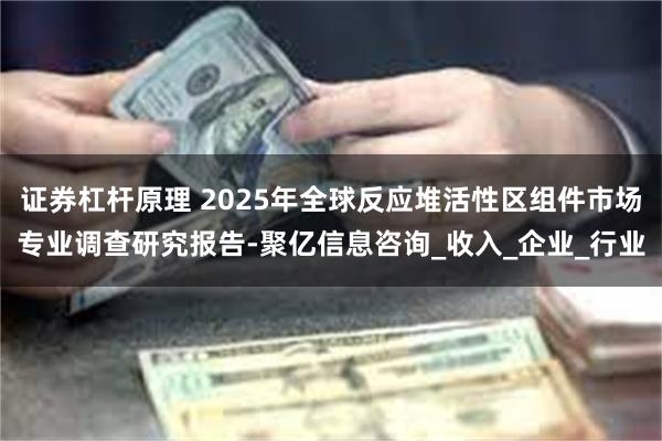 证券杠杆原理 2025年全球反应堆活性区组件市场专业调查研究报告-聚亿信息咨询_收入_企业_行业