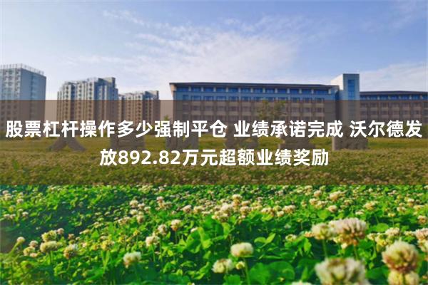 股票杠杆操作多少强制平仓 业绩承诺完成 沃尔德发放892.82万元超额业绩奖励