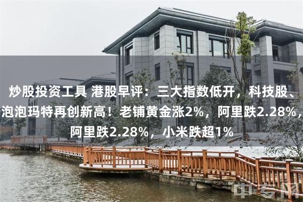 炒股投资工具 港股早评：三大指数低开，科技股、汽车股普跌，泡泡玛特再创新高！老铺黄金涨2%，阿里跌2